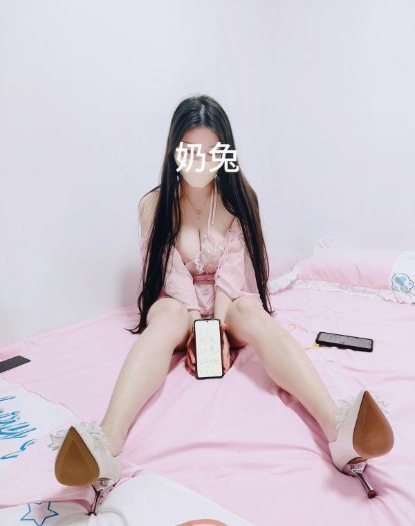 汉口奶兔 3