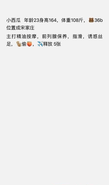 宋家庄环保小西瓜 4