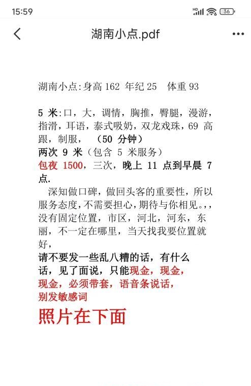 河东小点 3