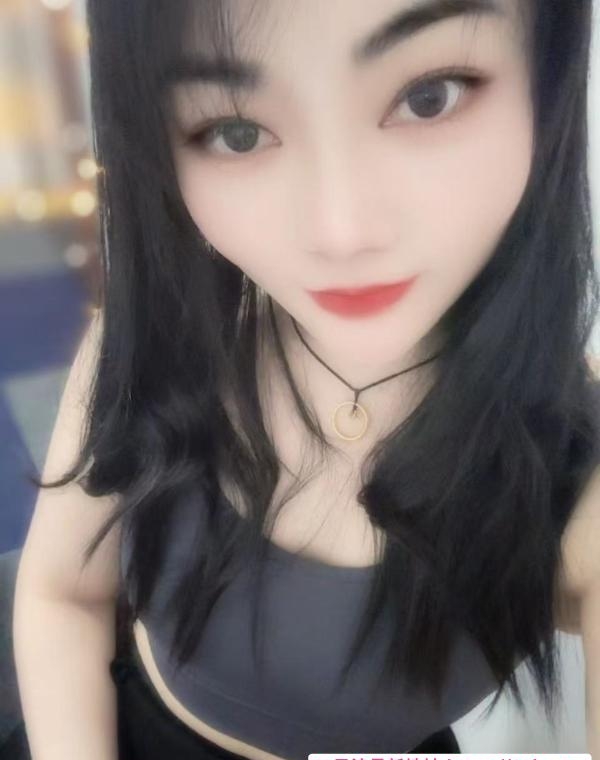 抓龙筋燕子 2
