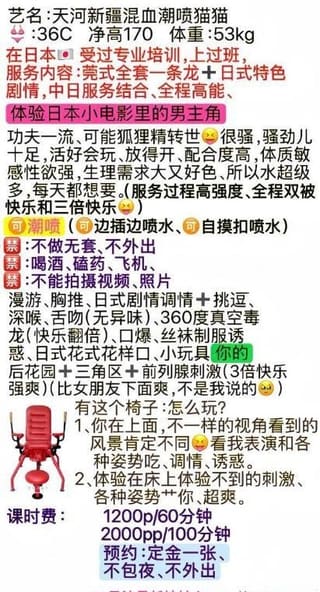 天河新疆混血潮喷猫猫