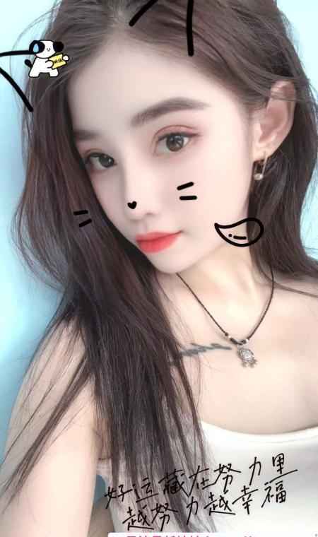 南开全套小家伙 1