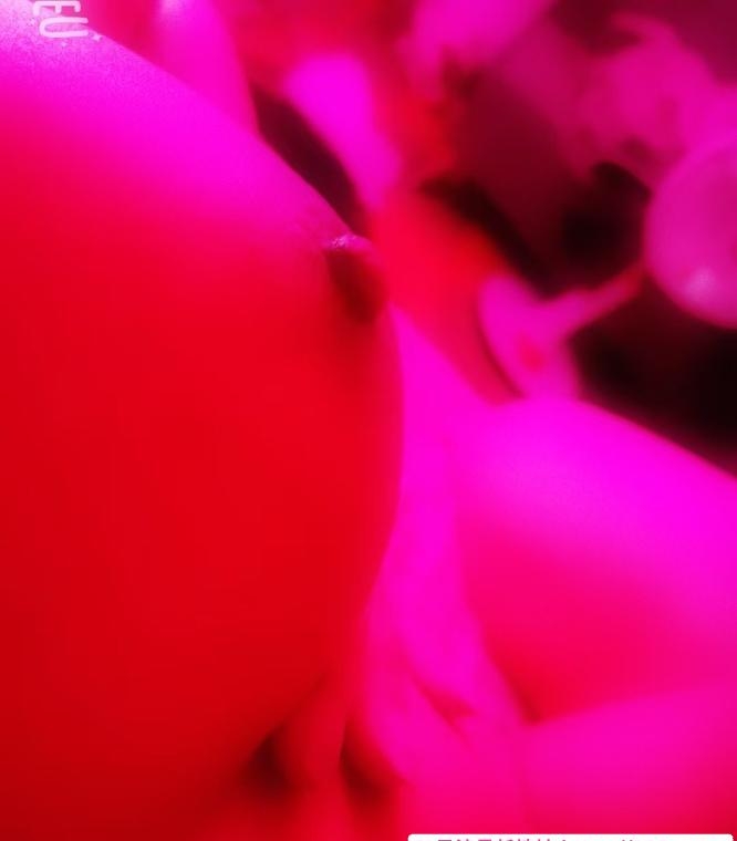 武汉光谷馒头老师 3