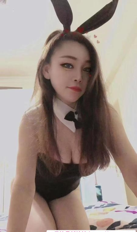 宝安翻身小肥猫 3