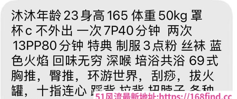 秦淮小姐姐服务系 4
