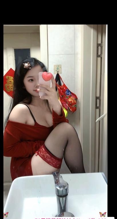 南山微胖布丁 2