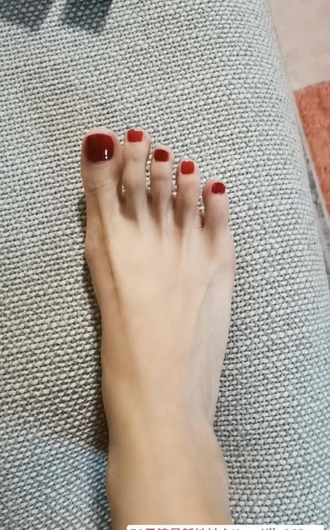 普陀美腿莫妮卡 3