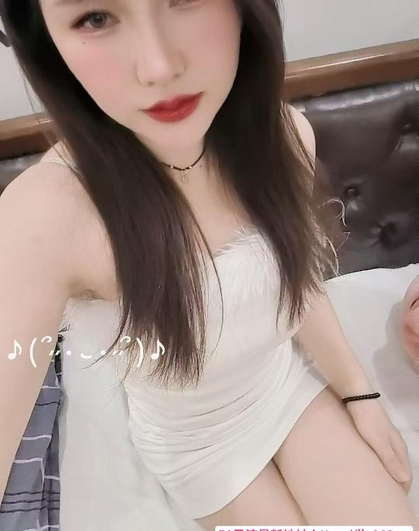 观澜长腿小野猫 3