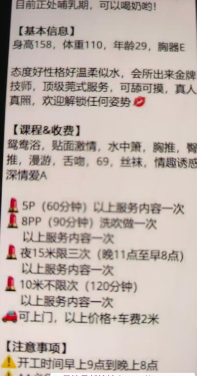 茶园奶妈哺乳期少妇 4