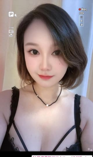 汉阳小野猫服务系