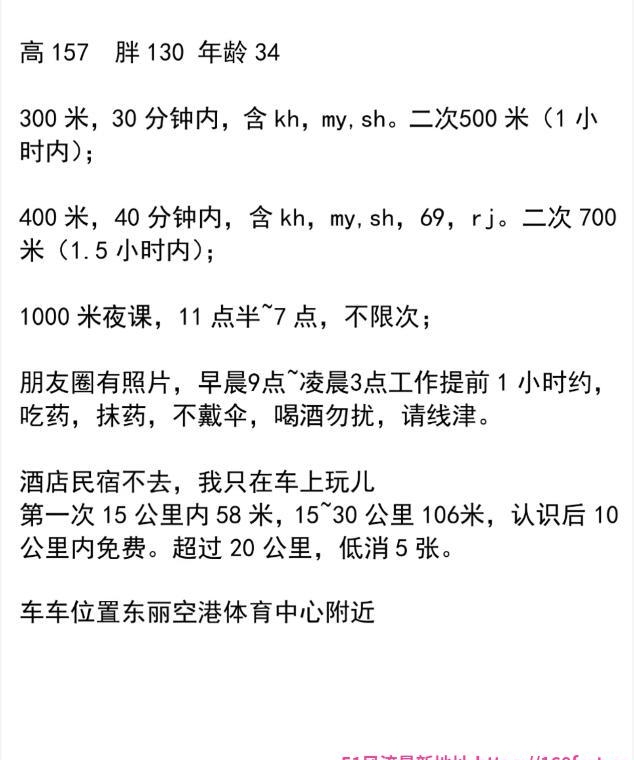 车震大胸骚妇 2