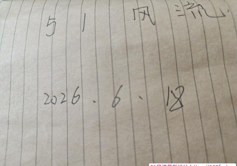 徐汇温柔三通小姐姐 3